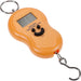 Utility Luggage Scale 50Kg Mini Digital Scale for Fishing Luggage Travel Weighting Kitchen Steelyard Hanging Electronic Hook Scale Weighing(random color)